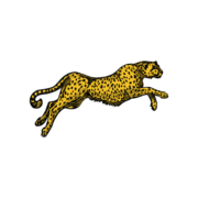(c) Burslem-leopard.co.uk